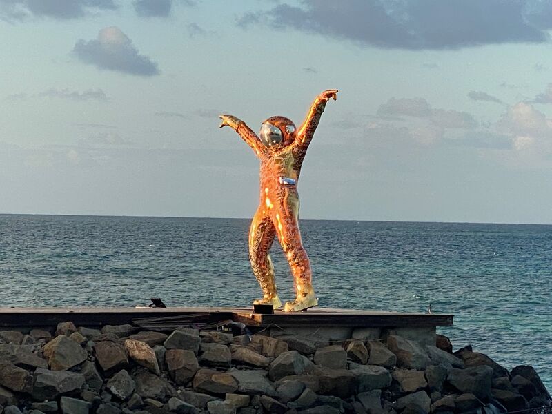 Movies Under the Stars